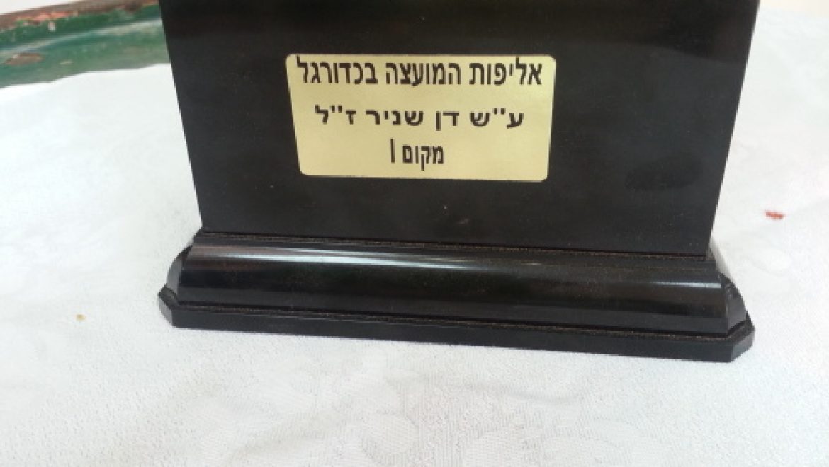 משחקי אליפות המועצה בכדורגל 2017 על שם דן שניר ז"ל