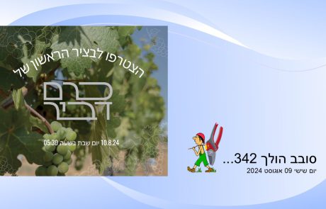 סובב הולך 342…