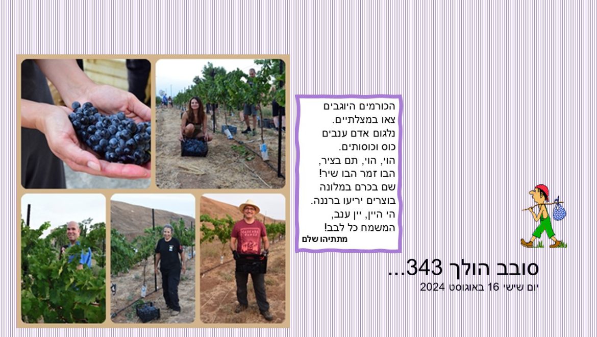 סובב הולך 343…