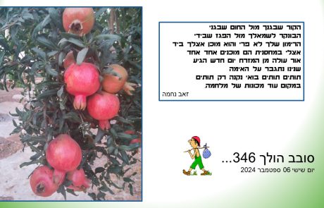 סובב הולך 346…