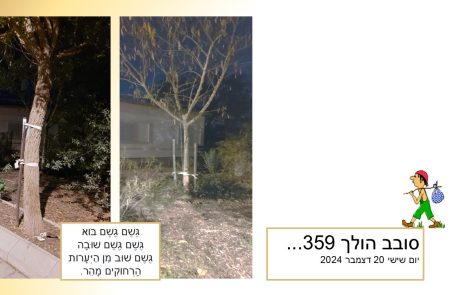 סובב הולך 359…