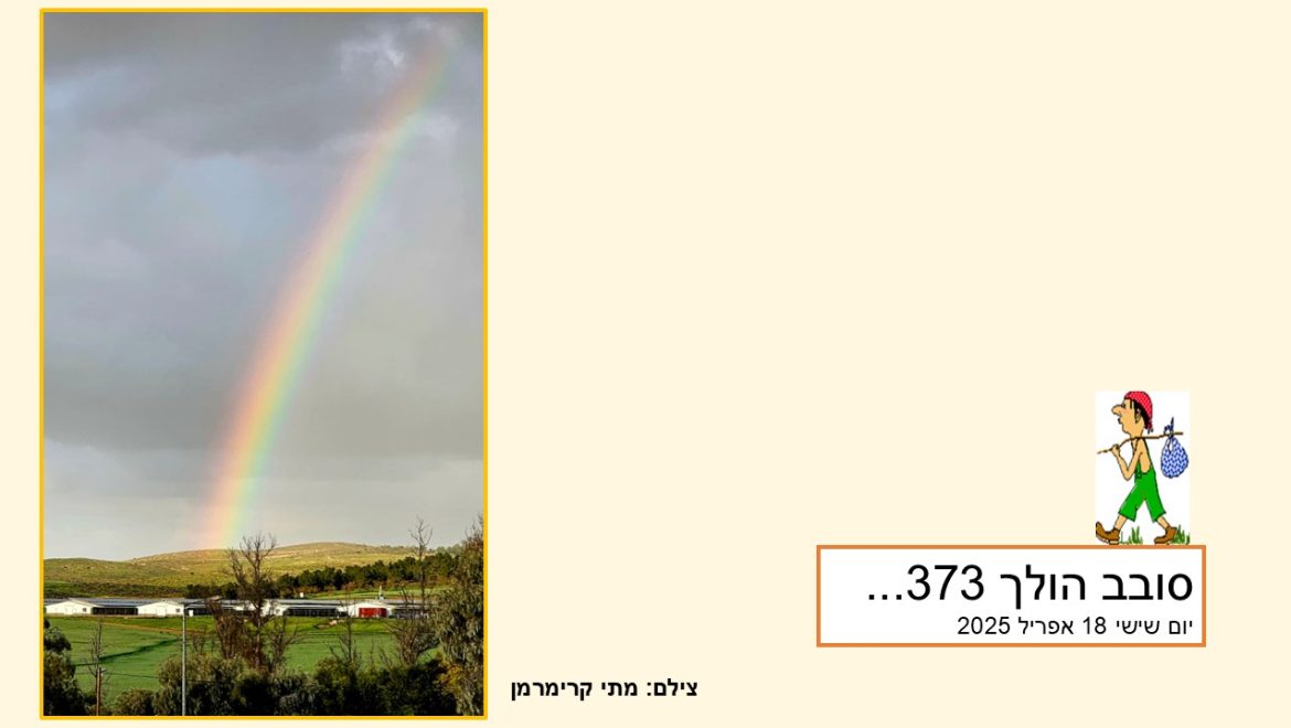 סובב הולך 373…