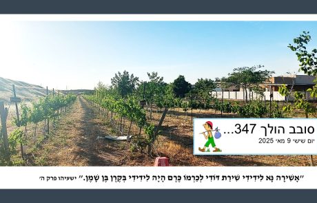 סובב הולך 376…