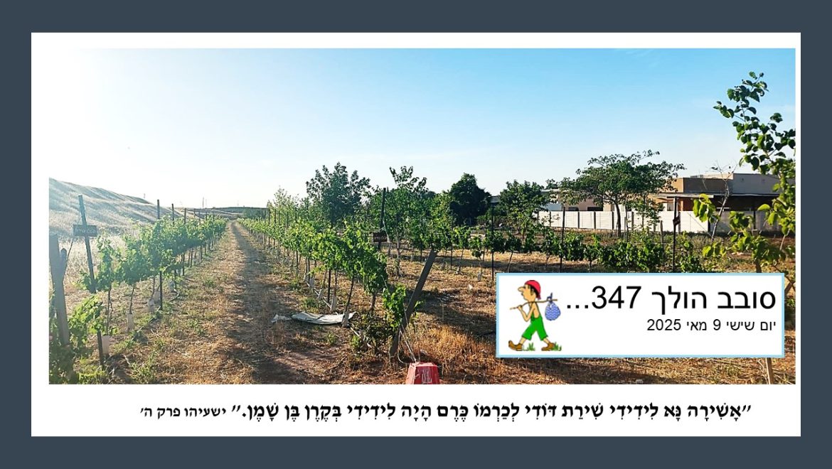 סובב הולך 376…