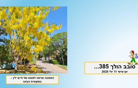 סובב הולך 385…