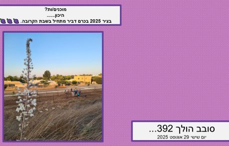 סובב הולך 392…