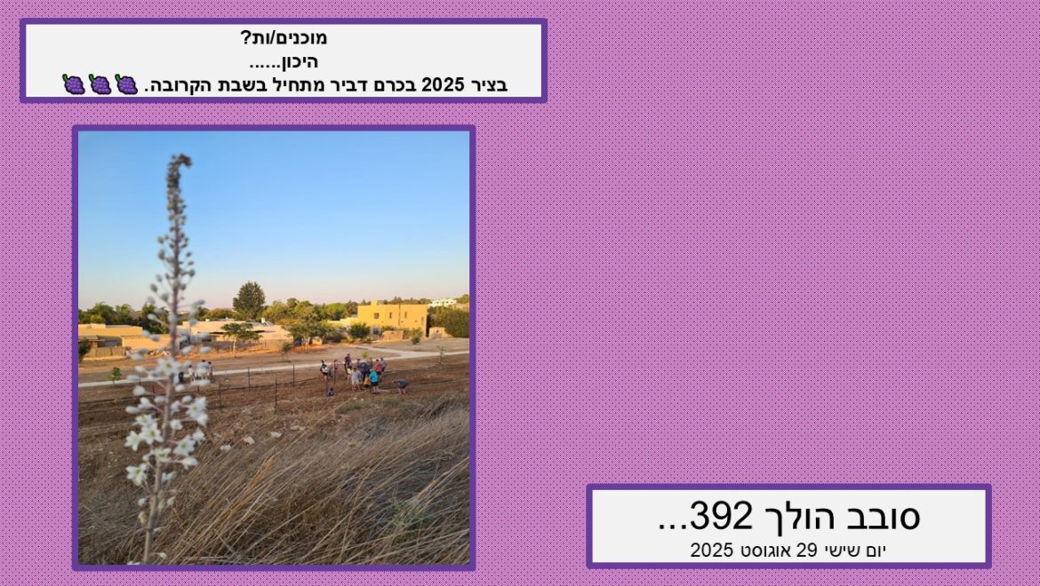 סובב הולך 392…