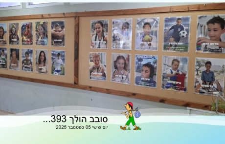 סובב הולך 393…