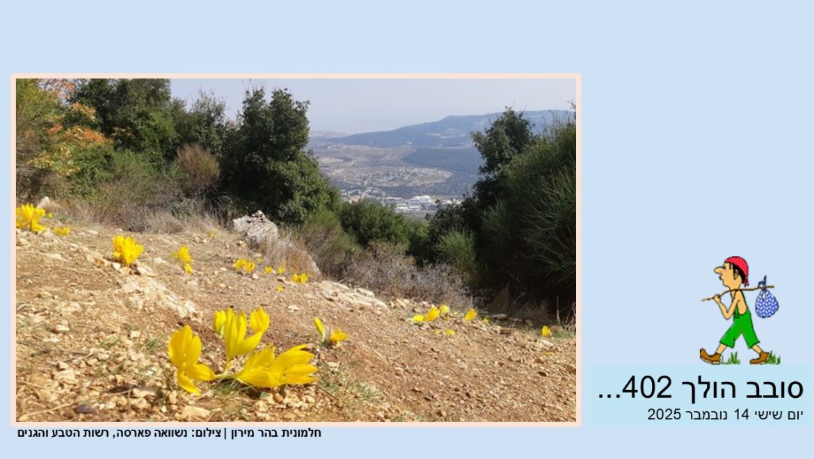 סובב הולך 402…