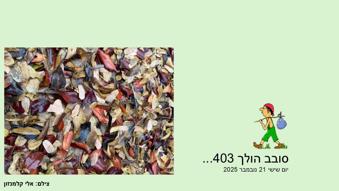 סובב הולך 403…