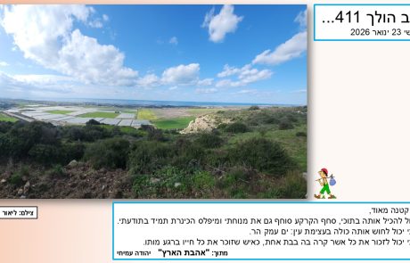 סובב הולך 411…