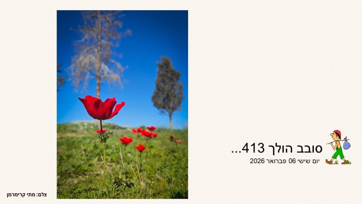 סובב הולך 413…