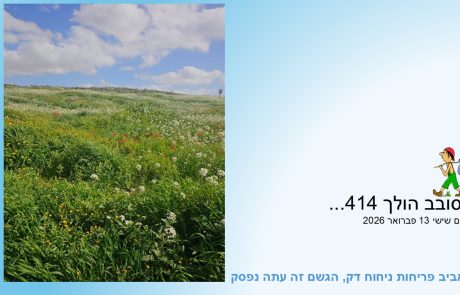 סובב הולך 414…