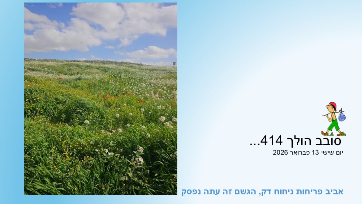 סובב הולך 414…