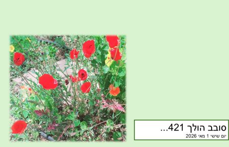 סובב הולך 421…