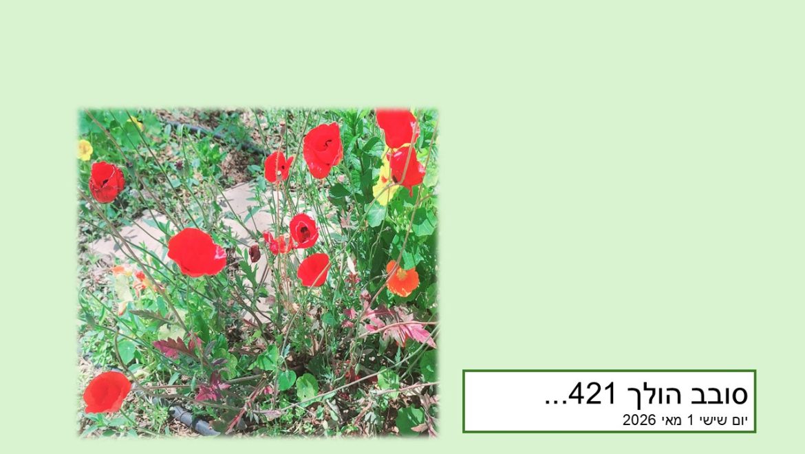 סובב הולך 421…