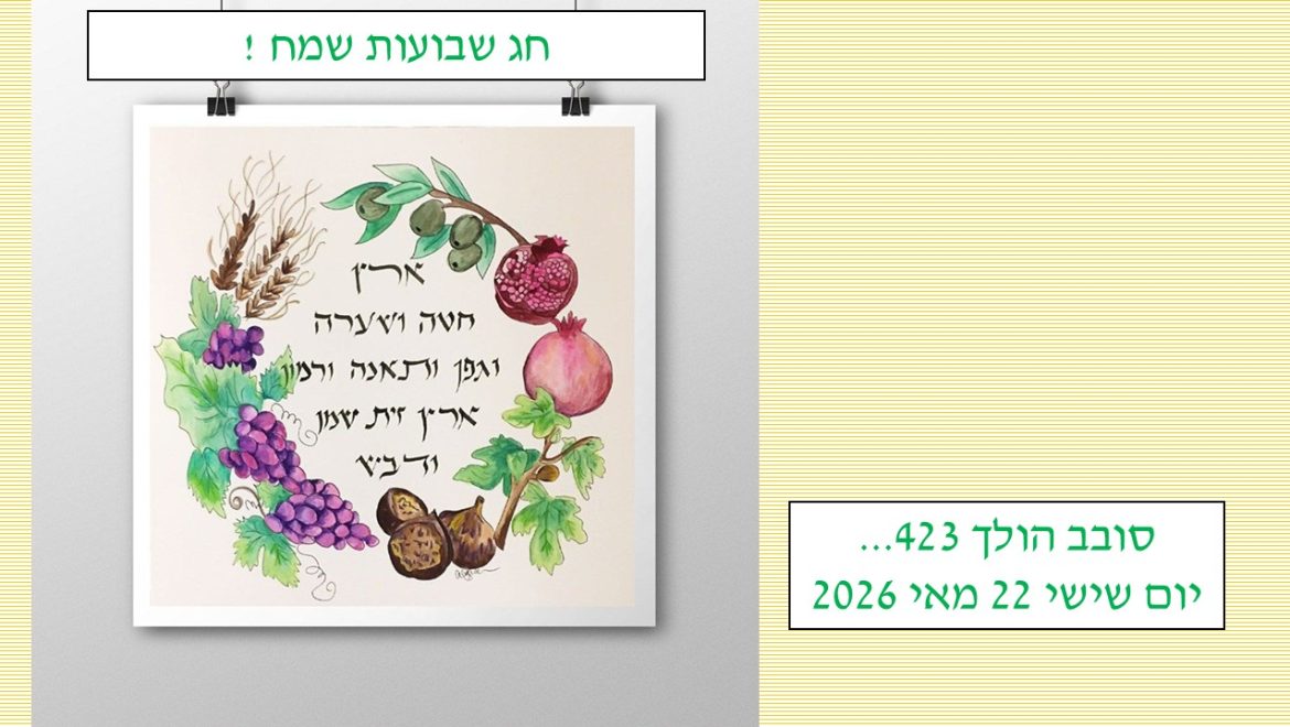 סובב הולך 423…