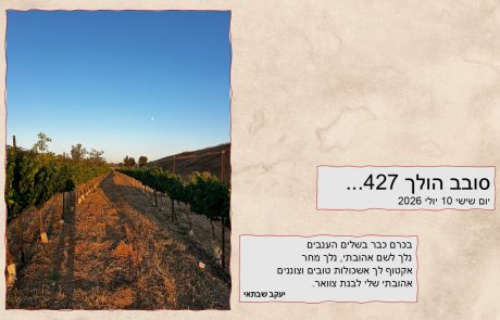 סובב הולך 427…