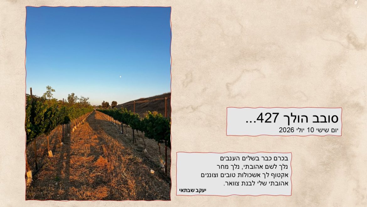 סובב הולך 427…