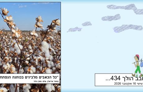 סובב הולך 434…