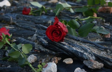 יום הזיכרון לשואה ולגבורה 2020 – קיבוץ דביר